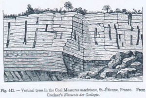  A Text Book on Geology by Charles Schuchert